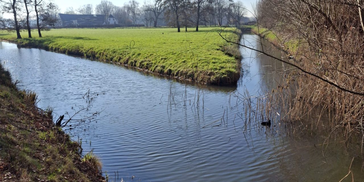 Factcheck: Bijna geen enkel waterlandschap in Nederland voldoet aan de Europese kwaliteitseisen