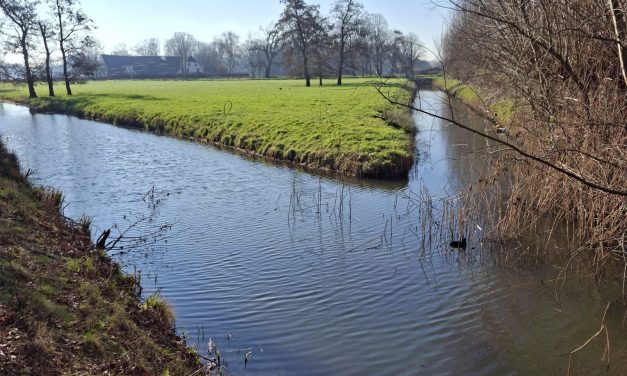 Factcheck: Bijna geen enkel waterlandschap in Nederland voldoet aan de Europese kwaliteitseisen