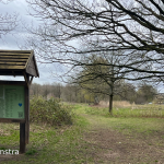 Wouter van Eck over de impact van voedselbossen in klimaatcrisis: ‘Een weg voorwaarts’