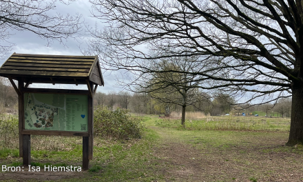 Wouter van Eck over de impact van voedselbossen in klimaatcrisis: ‘Een weg voorwaarts’