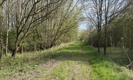 De echte FOMO speelt zich niet af op je scherm