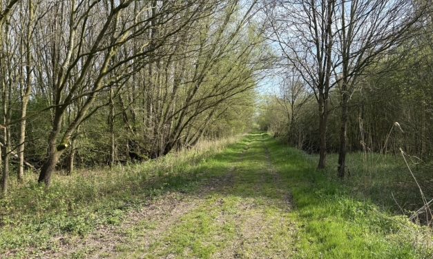 De echte FOMO speelt zich niet af op je scherm