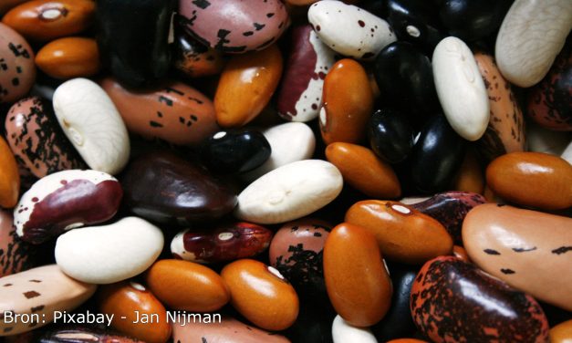 Van vlees naar vegan