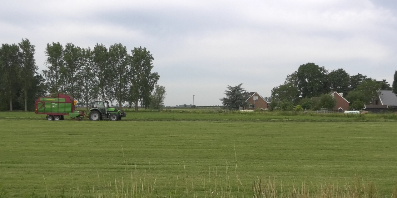 Terugkeer van de otter naar Utrecht stap dichterbij door project Otterpaden