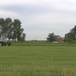 Terugkeer van de otter naar Utrecht stap dichterbij door project Otterpaden