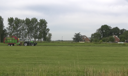 Terugkeer van de otter naar Utrecht stap dichterbij door project Otterpaden