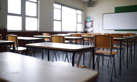 Factcheck: hebben jongens en meisjes zulke verschillende hersenen dat ze ander onderwijs nodig hebben?