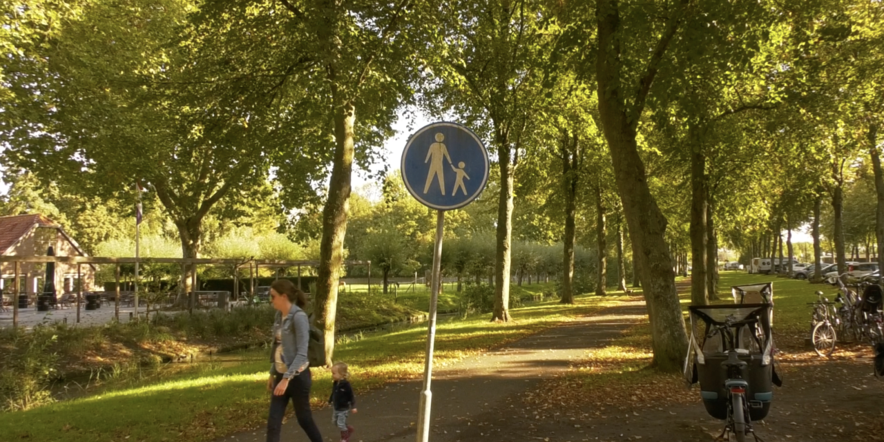 Veiligheid in de Delftse Hout onder druk: moeten vrouwen zich aanpassen om veilig thuis te komen?