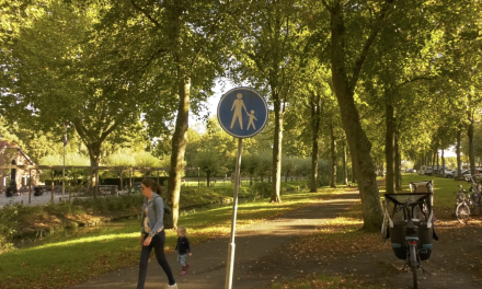 Veiligheid in de Delftse Hout onder druk: moeten vrouwen zich aanpassen om veilig thuis te komen?