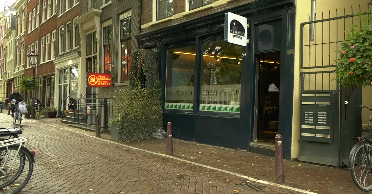 Het Nederlandse cannabisbeleid in beweging