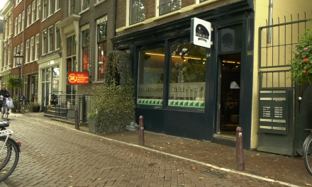 Het Nederlandse cannabisbeleid in beweging