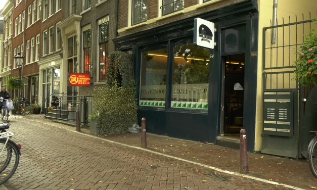Het Nederlandse cannabisbeleid in beweging