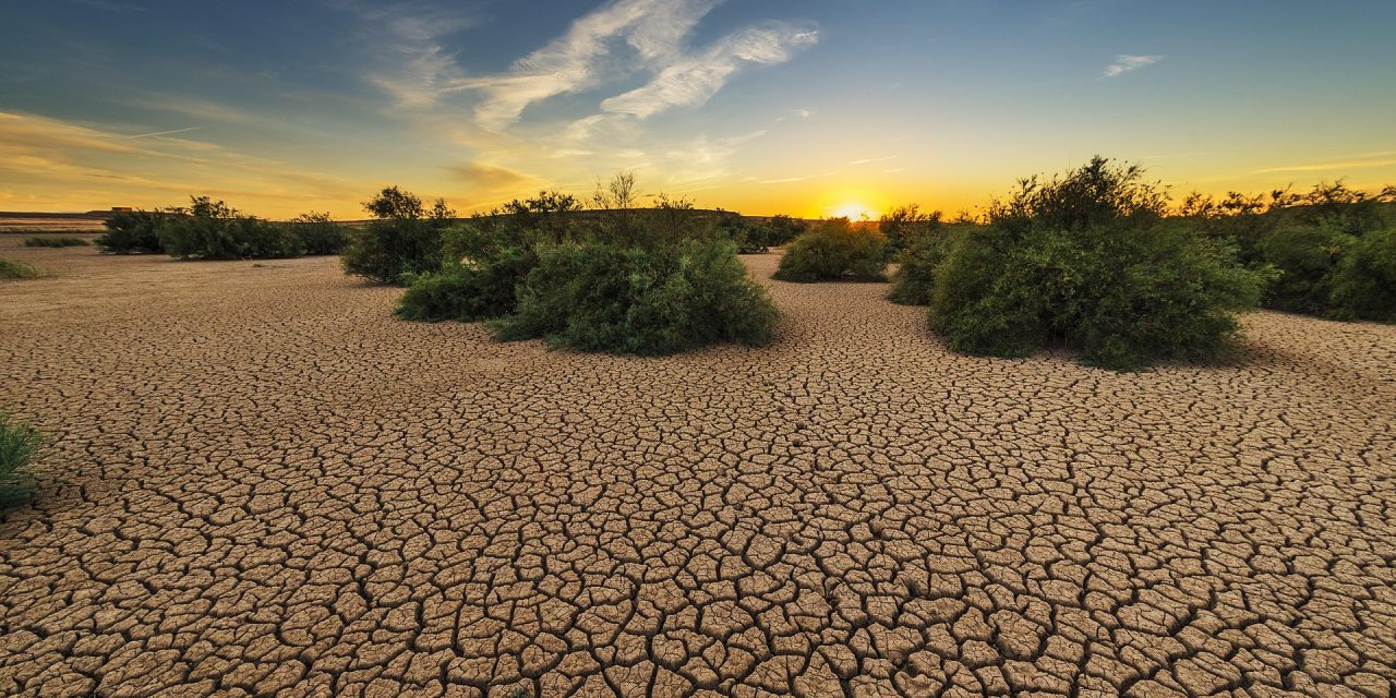 Aanhoudende droogte in Nederland: wat betekent dit voor de toekomst van jongeren?