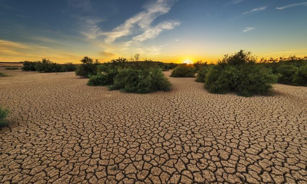 Aanhoudende droogte in Nederland: wat betekent dit voor de toekomst van jongeren?