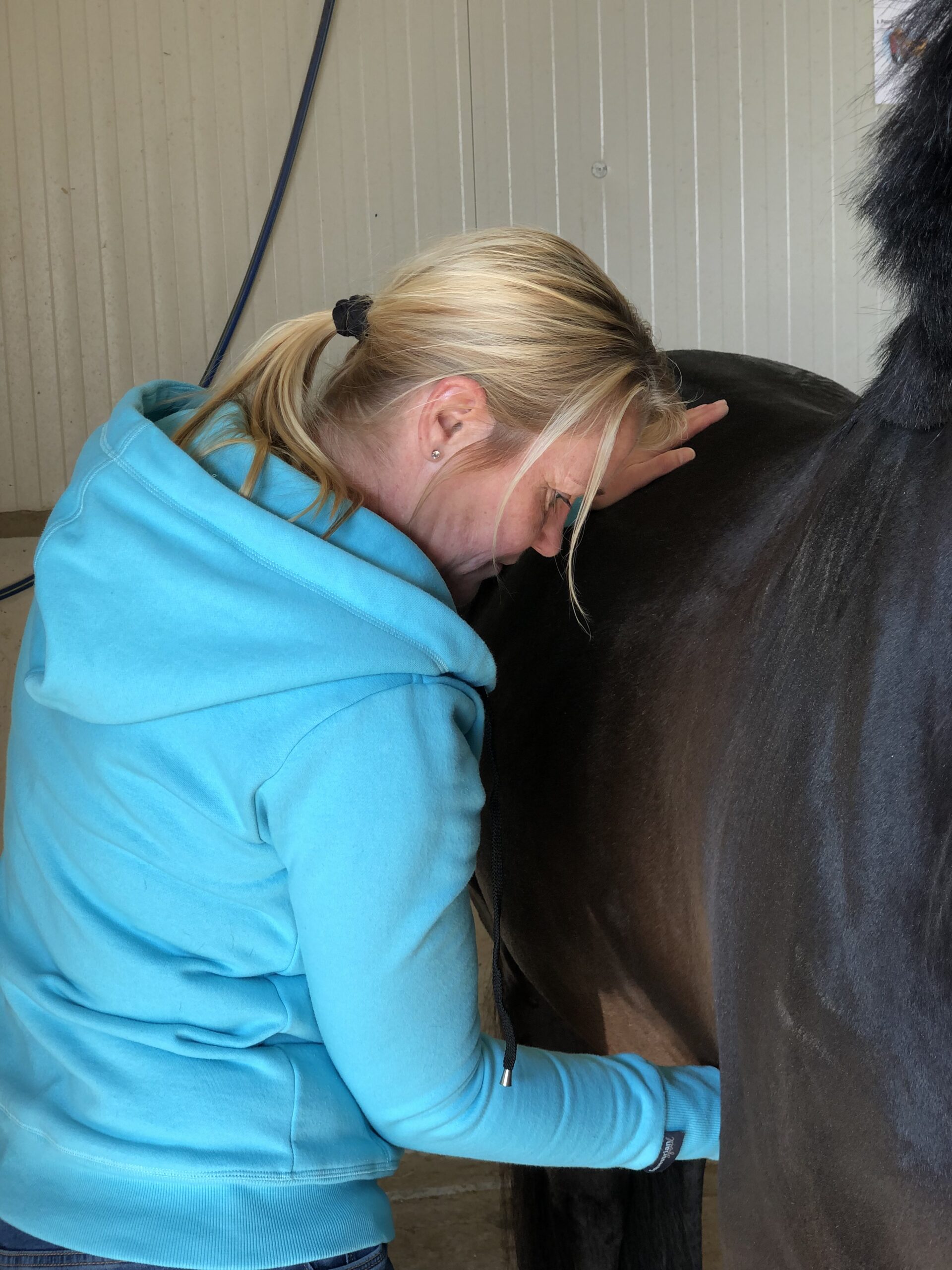 Bij de osteopaat: “Alles in het paardenlichaam is verbonden.”