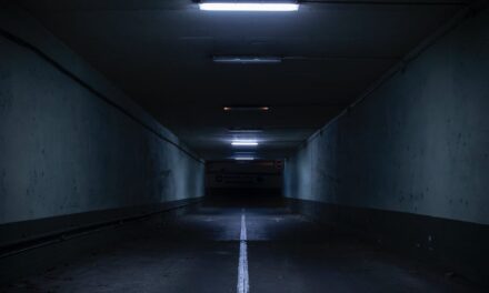 De Tunnel van de Ganzenmarkt