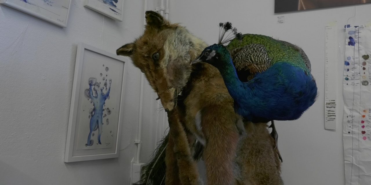 Met een dood dier exposeren: Waarom taxidermie de kunst van het opzetten is