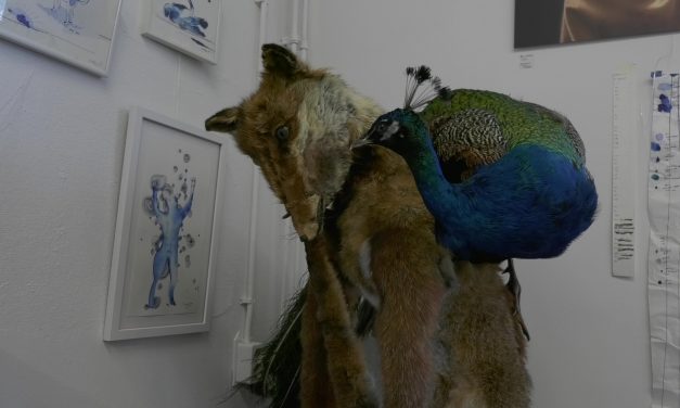 Met een dood dier exposeren: Waarom taxidermie de kunst van het opzetten is