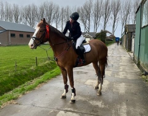 Een manege is niet alleen maar rozengeur en maneschijn