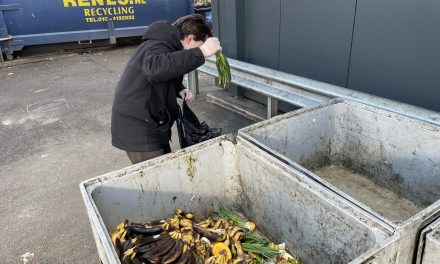 Dumpsterdiven als oplossing voor voedselverspilling
