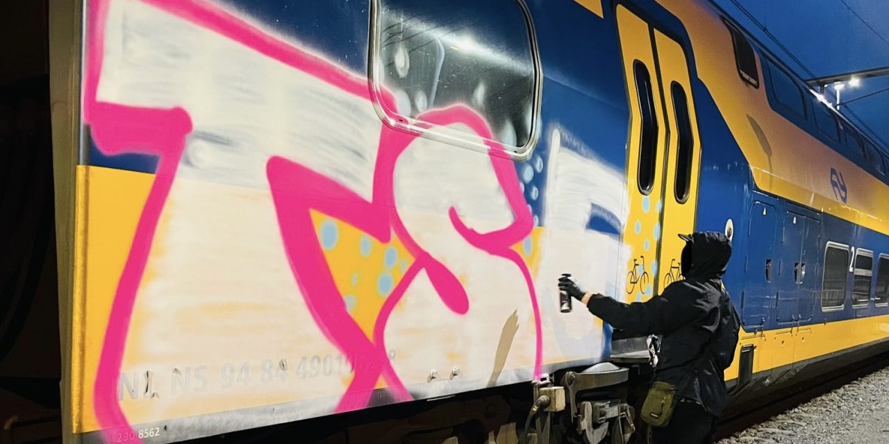 Nachtwerk: de strijd tegen graffitischrijvers op treinen