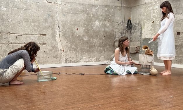 Vernieuwende performancekunst bij opening tentoonstelling Buitenstebinnen; nog nooit was water zo veelzijdig
