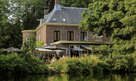 Niet bijzonder goed, maar wel bijzonder en ook goed.