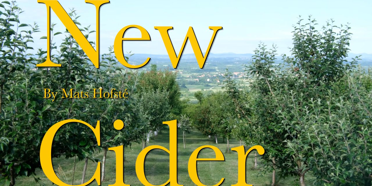 Mini docu: New Cider