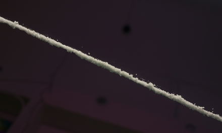 Mini Docu: Het Laatste Lijntje