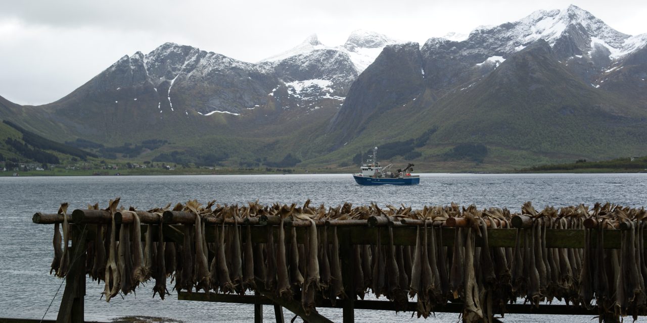 Mini-docu: De laatste stokvismeester van Nederland