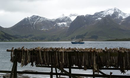 Mini-docu: De laatste stokvismeester van Nederland