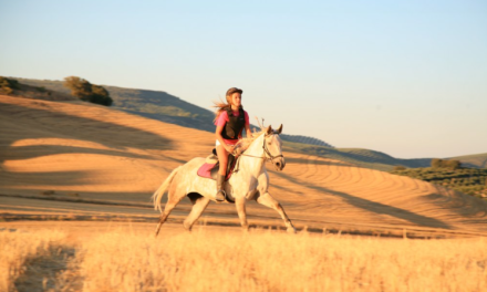 Onder de hemel van Andalusië
