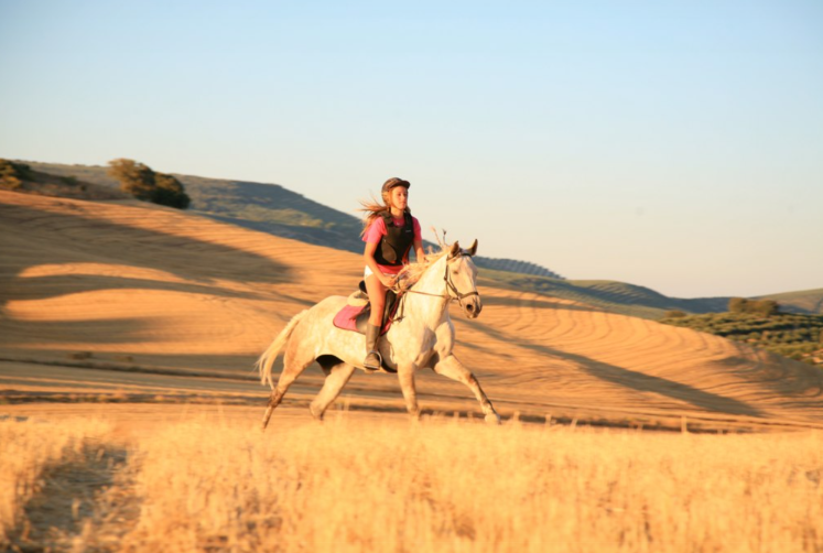 Onder de hemel van Andalusië