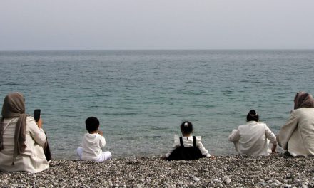 Tussen saffraan en Google Translate