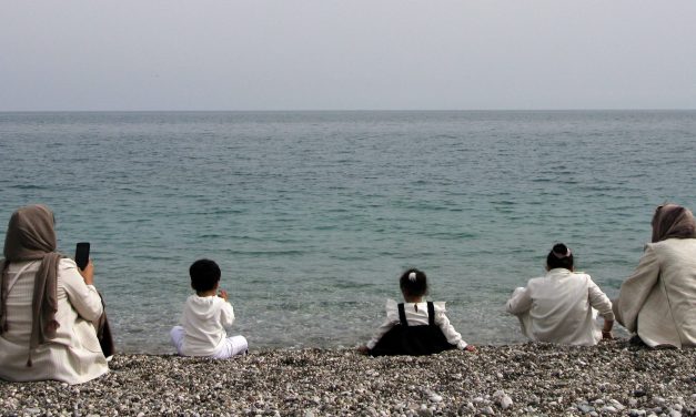 Tussen saffraan en Google Translate