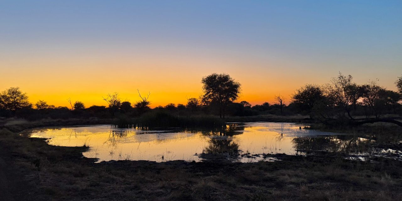 “Pap, kijk; ik ben geen cowboy!”