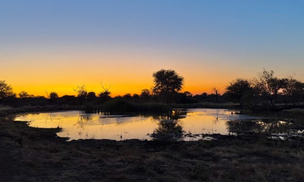 “Pap, kijk; ik ben geen cowboy!”