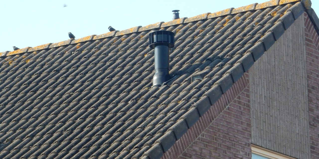 Woningnood! Of niet?