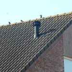 Woningnood! Of niet?