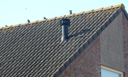 Woningnood! Of niet?