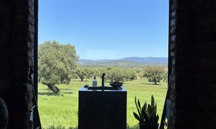 Toilet als tableau: de grenzen van kunst