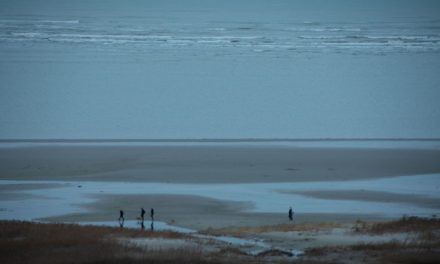 Soms neem ik mensen mee naar huis
