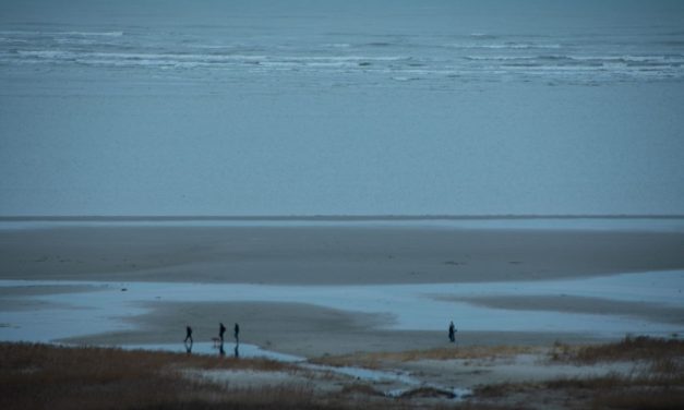 Soms neem ik mensen mee naar huis