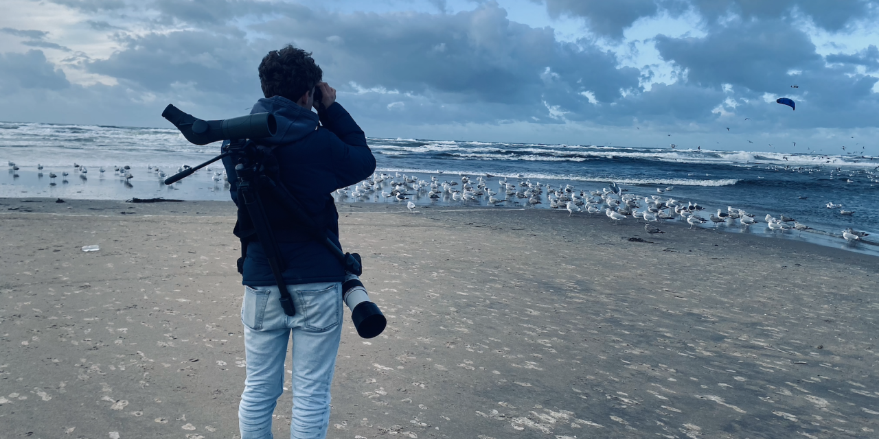 Voor een paar seconden is de kleine alk zijn wereld