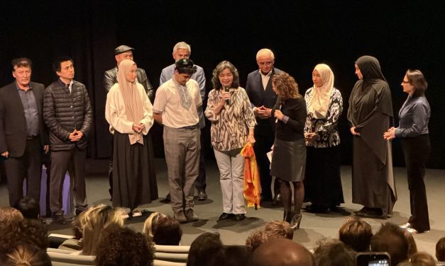 Dé verborgen parel van IDFA