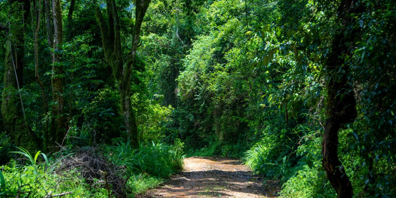 “Ben je gek?!” En toch ging ze