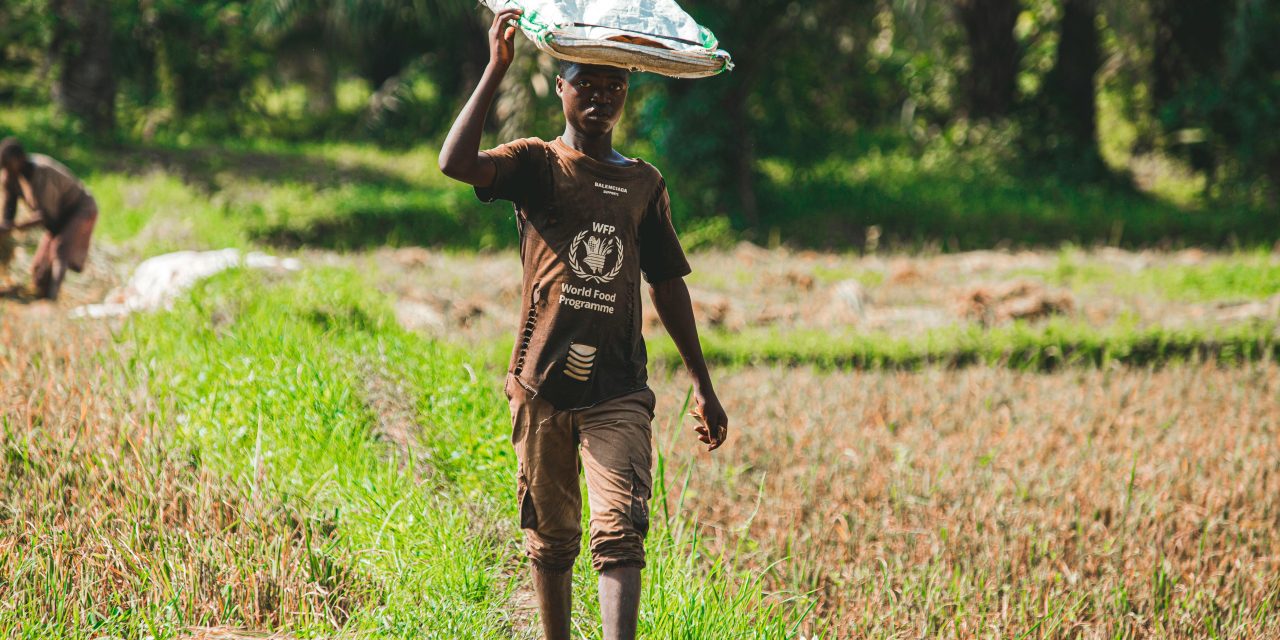 Meer honger, minder hulp: een dure keuze