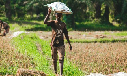 Meer honger, minder hulp: een dure keuze