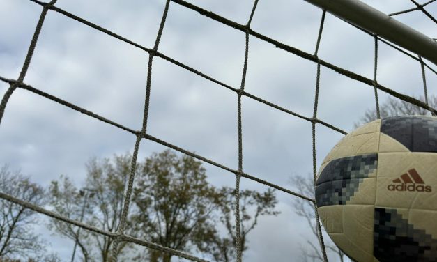 Het successeizoen van NEC