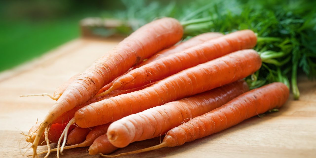 Factcheck: Je wordt niet bruin door het eten van wortels (wel oranje)